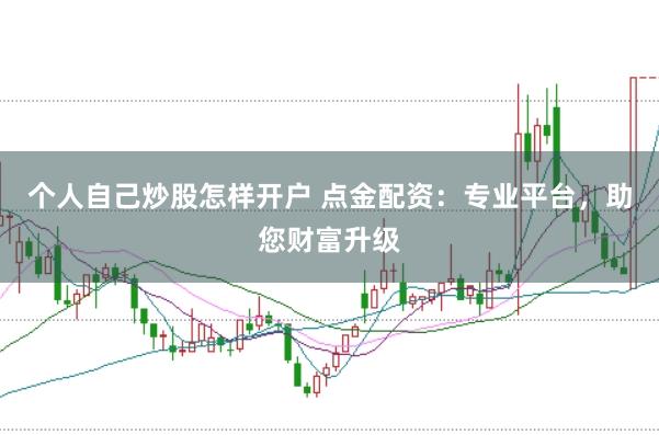 个人自己炒股怎样开户 点金配资：专业平台，助您财富升级
