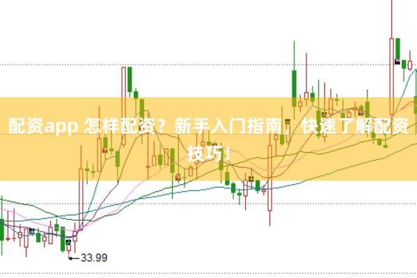 配资app 怎样配资？新手入门指南，快速了解配资技巧！