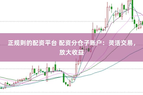 正规则的配资平台 配资分仓子账户：灵活交易，放大收益