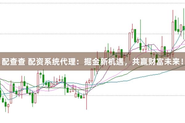 配查查 配资系统代理：掘金新机遇，共赢财富未来！