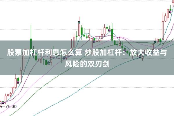 股票加杠杆利息怎么算 炒股加杠杆：放大收益与风险的双刃剑