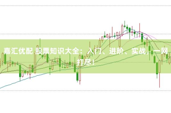 嘉汇优配 股票知识大全：入门、进阶、实战，一网打尽！