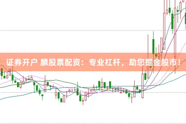 证券开户 麟股票配资：专业杠杆，助您掘金股市！