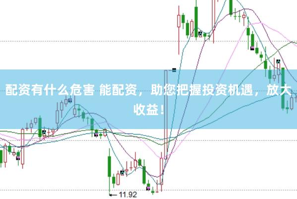 配资有什么危害 能配资，助您把握投资机遇，放大收益！