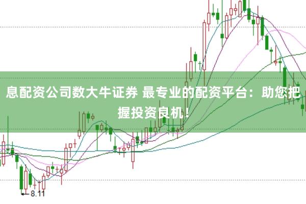 息配资公司数大牛证券 最专业的配资平台：助您把握投资良机！