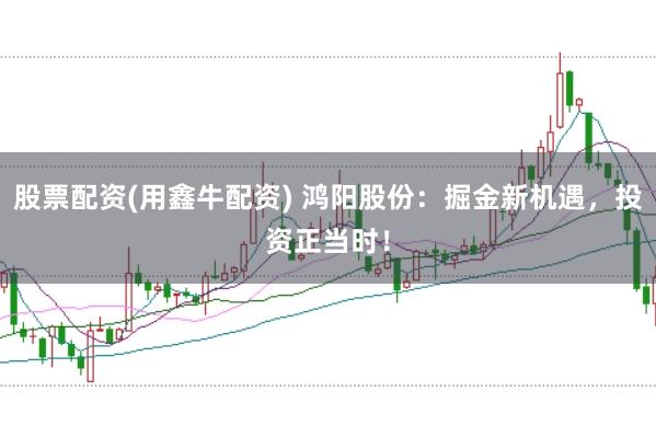 股票配资(用鑫牛配资) 鸿阳股份：掘金新机遇，投资正当时！