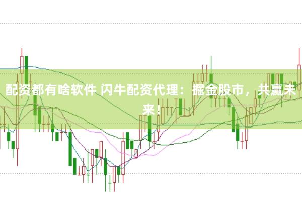 配资都有啥软件 闪牛配资代理：掘金股市，共赢未来！