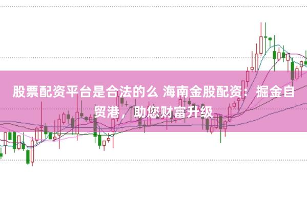 股票配资平台是合法的么 海南金股配资：掘金自贸港，助您财富升级