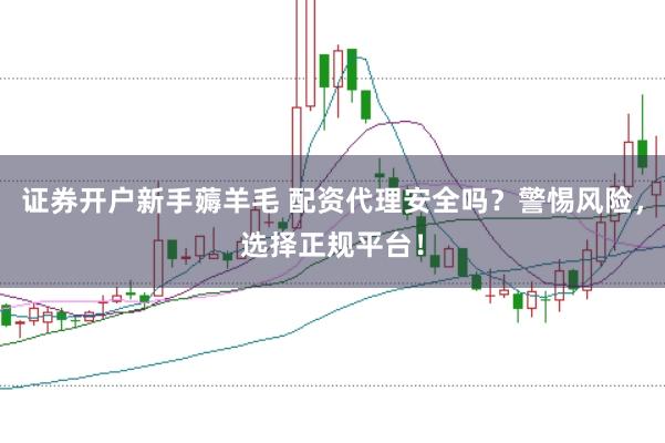 证券开户新手薅羊毛 配资代理安全吗？警惕风险，选择正规平台！