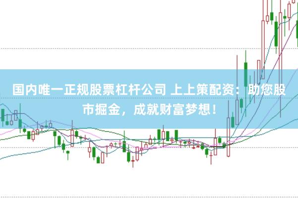 国内唯一正规股票杠杆公司 上上策配资：助您股市掘金，成就财富梦想！
