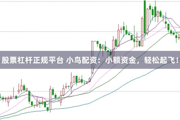 股票杠杆正规平台 小鸟配资：小额资金，轻松起飞！