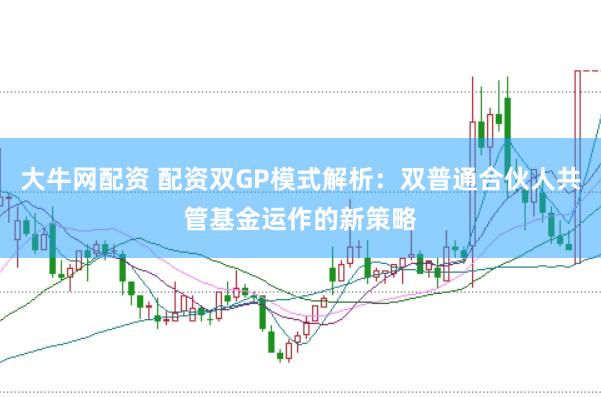 大牛网配资 配资双GP模式解析：双普通合伙人共管基金运作的新策略