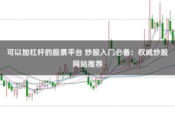 可以加杠杆的股票平台 炒股入门必备：权威炒股网站推荐