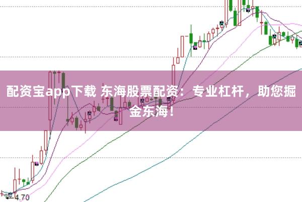 配资宝app下载 东海股票配资：专业杠杆，助您掘金东海！