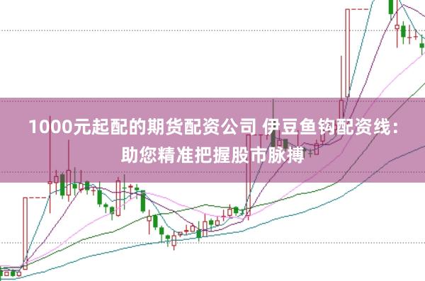 1000元起配的期货配资公司 伊豆鱼钩配资线：助您精准把握股市脉搏