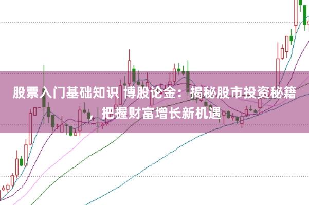 股票入门基础知识 博股论金：揭秘股市投资秘籍，把握财富增长新机遇