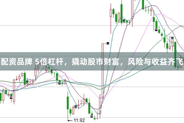 配资品牌 5倍杠杆，撬动股市财富，风险与收益齐飞