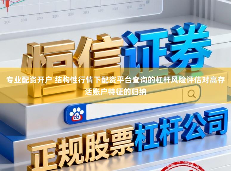 专业配资开户 结构性行情下配资平台查询的杠杆风险评估对高存活账户特征的归纳