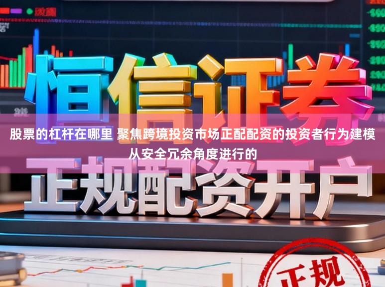 股票的杠杆在哪里 聚焦跨境投资市场正配配资的投资者行为建模从安全冗余角度进行的